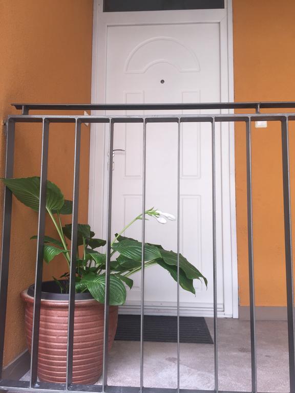 بودابست Downtown Rose Garden Apartments Whit Garage Opcional المظهر الخارجي الصورة